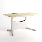 LumiDesk All in 1 Electric Height Adjustable Desk  Smart, Modular & Ergonomic
