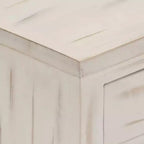 vidaXL Mesita de Noche Blanca 40x30x50 cm Madera Maciza de Mango