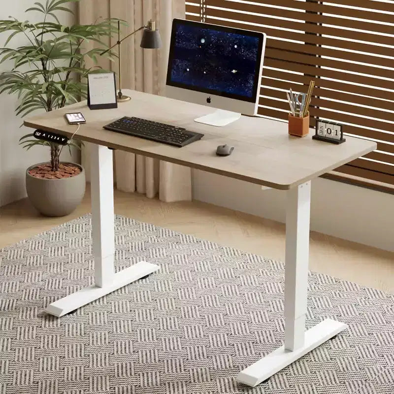 MAYEERTY Electric Standing Desk Height Adjustable Desk for Home and Office Computer Table Gaming Desk
