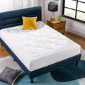 Zinus Cloud 10 Memory Foam Mattress