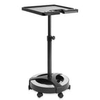 Bandeja Saloniture Rodante para Tinte de Cabello - Carrito Portátil de Peluquería con Cuencos Magnéticos, Negro